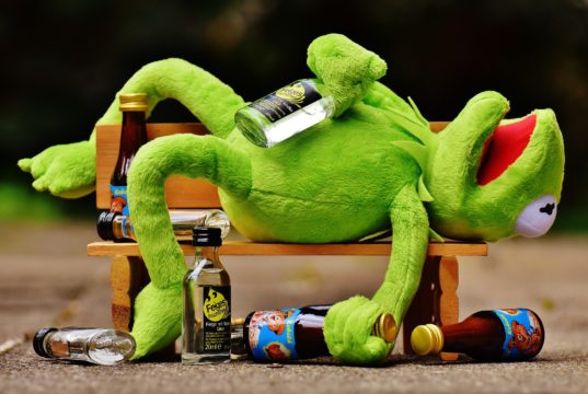 Kermit the frog