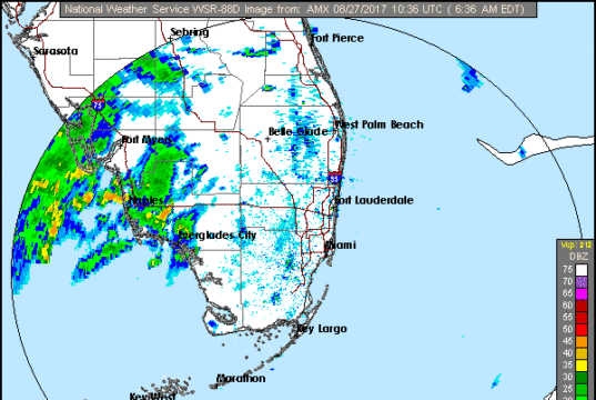 Rain Lingers
