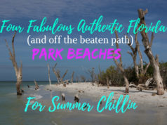 beaches