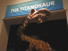 Patagotitan
