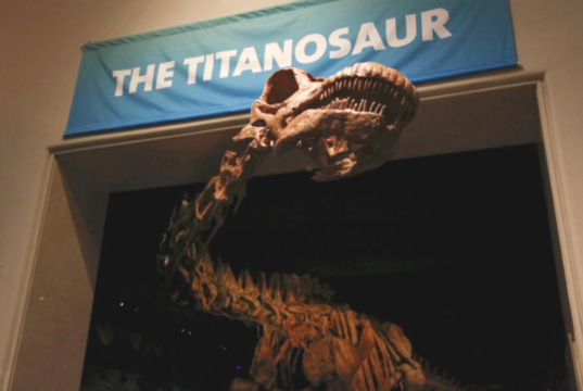 Patagotitan