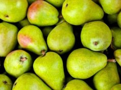 pears