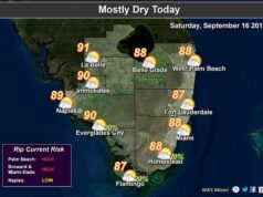 Busy Tropics