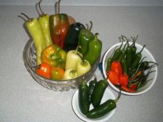 pepper