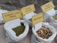 dietary fiber