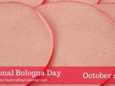 bologna day