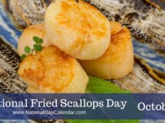 scallops day