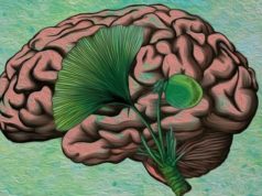 biloba