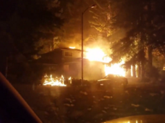 wildfires