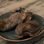 Atlantic Gulf oysters