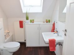 toilet