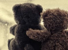 bear day
