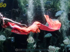 Mermaids