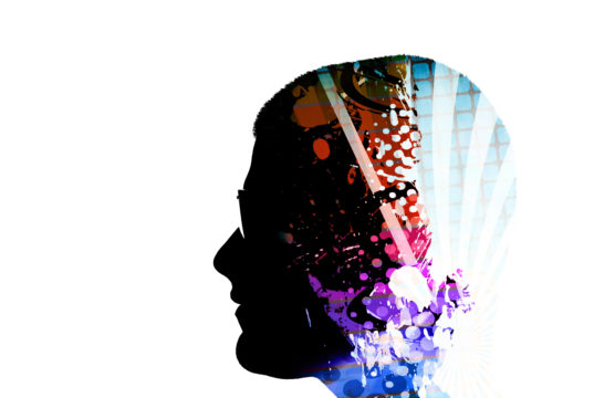 brain