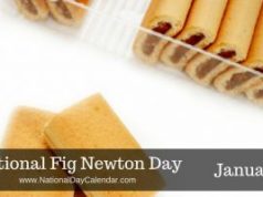 newton day