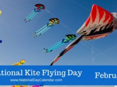 flying day