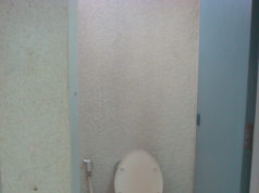 toilet