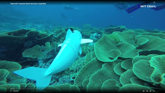 robot fish