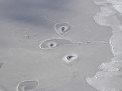circles