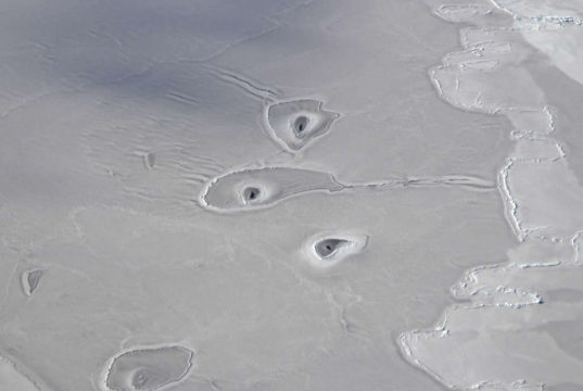 circles