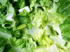 lettuce