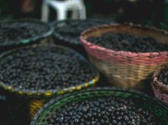 acai berries