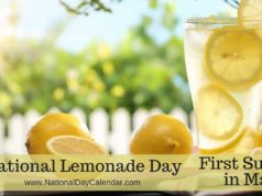 lemonade day