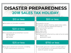 disaster sales