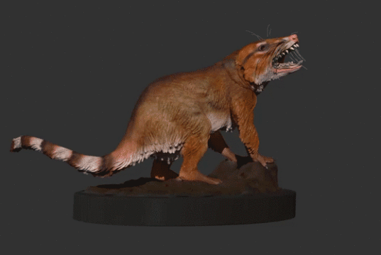 fossil