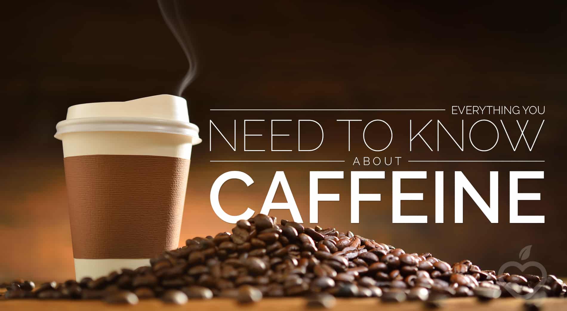 Quaffeine Everything You Need to Know About Caffeine - South Florida Reporter