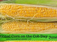 cob day