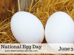 egg day