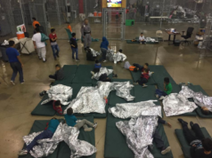 immigrant