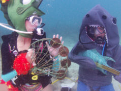 underwater music