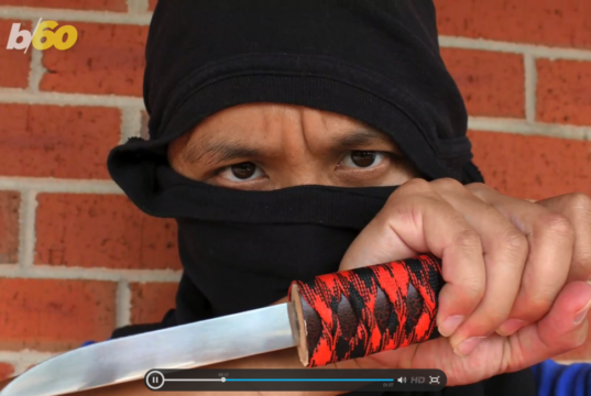 ninja