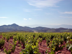 Rioja