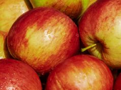 apple