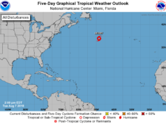 subtropical