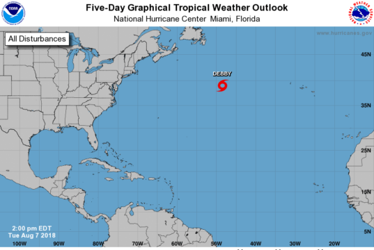 subtropical