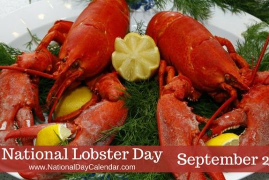 lobsters