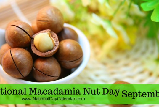 Macadamia