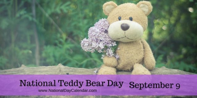 teddy bear