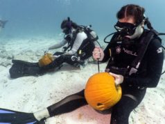 divers
