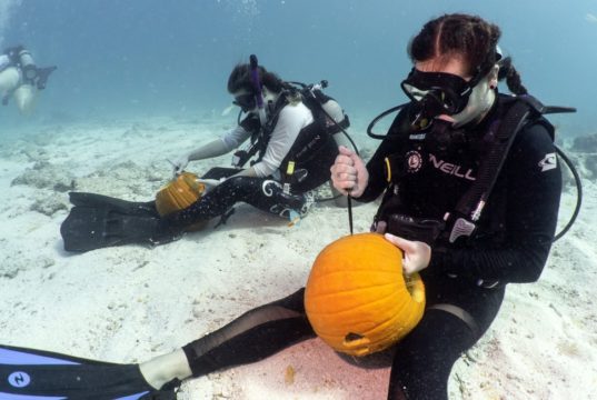 divers