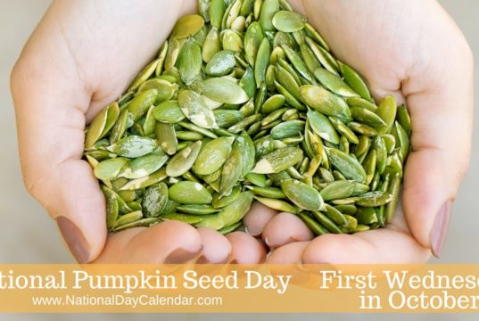 pumpkin seed