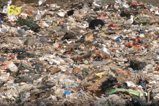 landfill