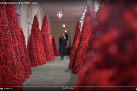 red trees