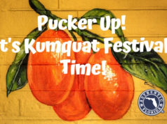 festival