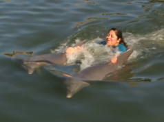 swimming