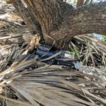 Tunnel-Winch-1-30-2019